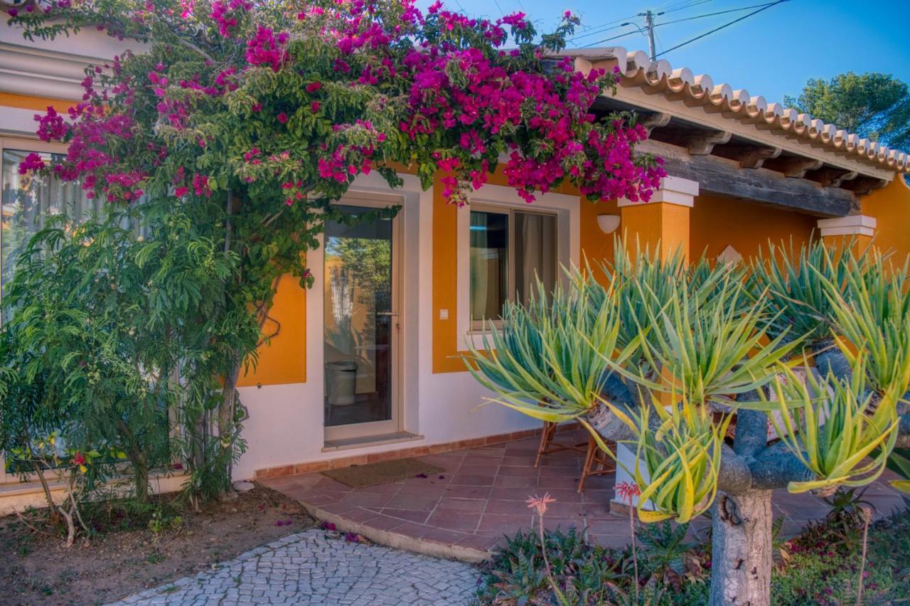 Moonshine Guest House With Private Studios And Private Cottage Lagos Exteriör bild